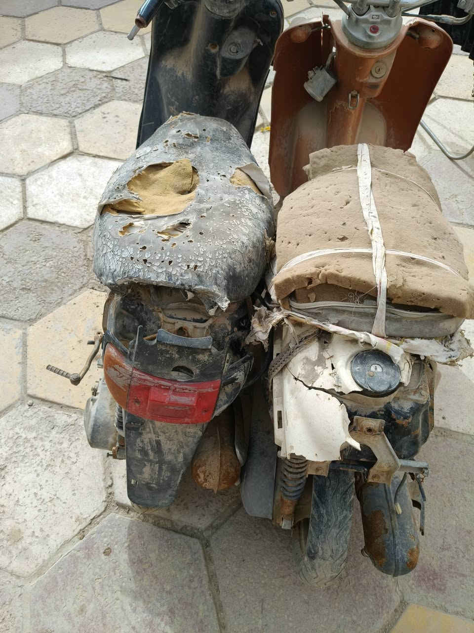 دراجتين للبيع منغولي نثيه ومصريه المنغولي عطلها شرك والمصريه ما بيها شي بس واكفه من زمان الي يريده يتواصل وياي سعر مناسب مكاني ناصريه مركز ***********
