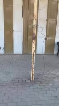 مخزن تجاري • حي السكك • ٣٠٠م