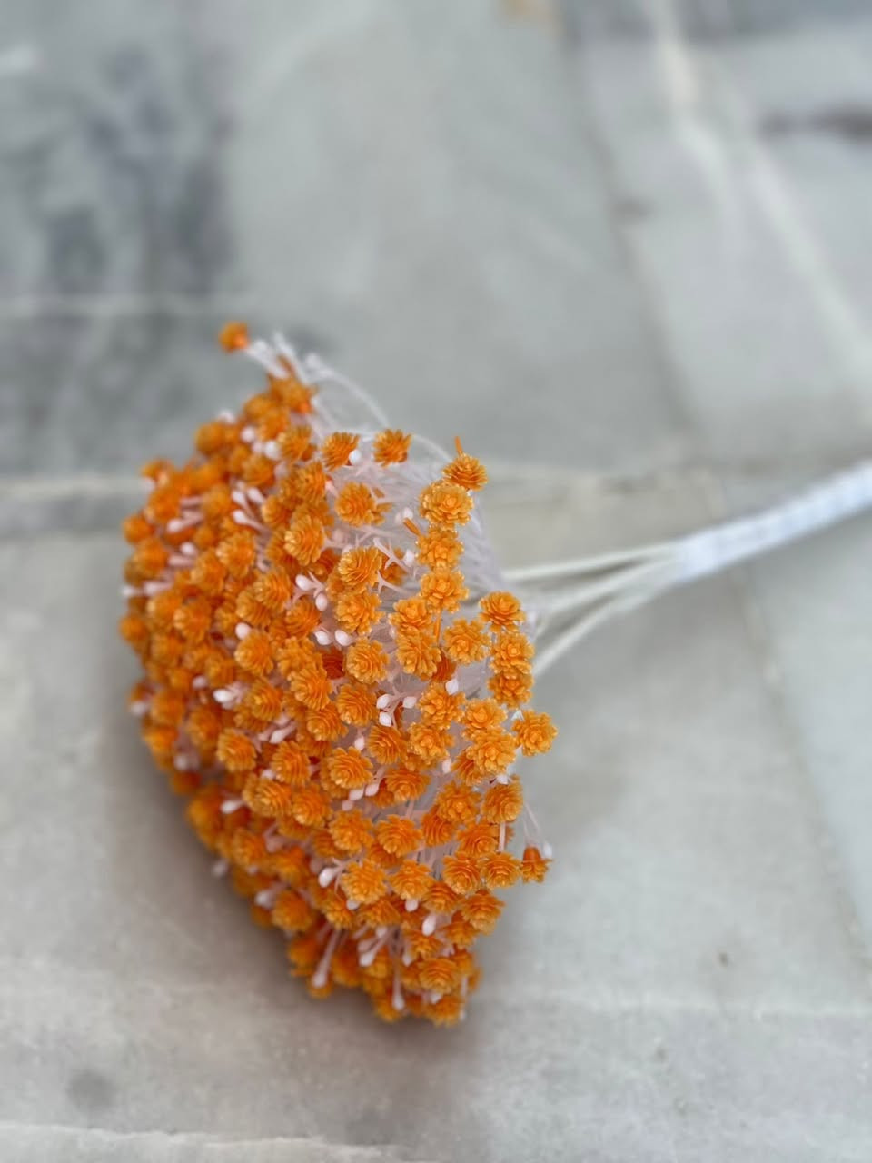 توفر  🤍

____

📍عنوان المحل بغداد شهداء السيديه قرب اسواق اوسي 

توجد خدمة توصيل 🚚 

متواجدين داخل المحل من الساعه 10 صباحاً الى الساعه 10 مساءً 🕰️

اتنورونا🤍

حساب على الإنستغرام (fn_masara)


**إذا كنت صاحب هذا الإعلان وتريد حذفه لأي سبب، رجاءا أرسل رسالة إلى الدعم الفني**