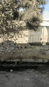 حي البريد الاولى • ٥٥٠م • أرض