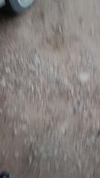 موديل ١٩٩٥ • رقم انكليزي • باسمي