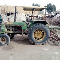 جوندير • سنوية • ل٣١
