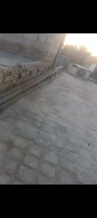 جسور حديد • شخاط جديد • عدد ٣