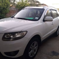 سنتافيا • ٢٠١١ • ٧ راكب