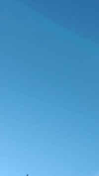 بعقوبه • موديل ١٧ • أوراق أصلية