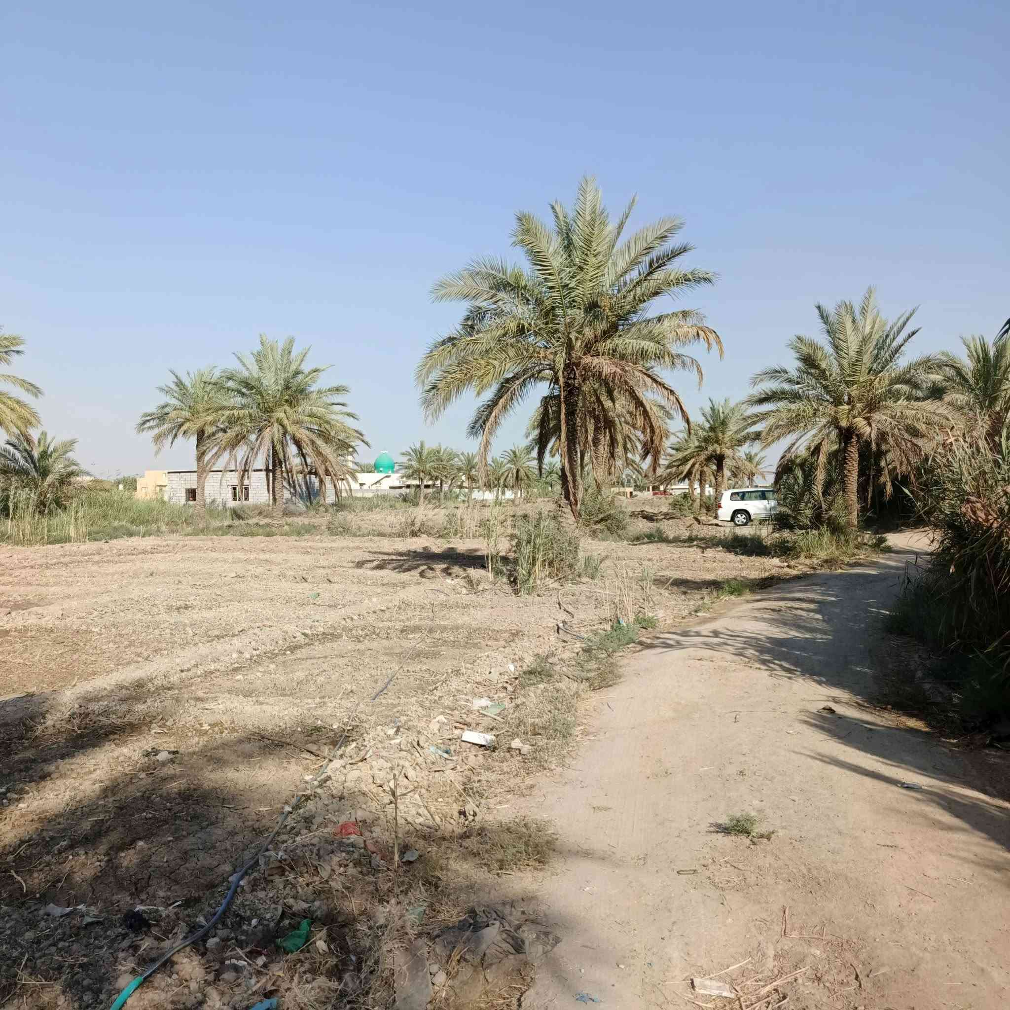 يا الله سلام عليكم البيع قطعت ارض
تتكون من 3بيوت بناء حديث استقبال بوجهن مساحة كبيرة 5 دونم طابو بستان تحويل مباشر بيهة حصة ماءية نهر بصدرهة محولة براصهة مكان صويرة قريت معامرة طريق جبلة صويرة طريق زوار الرئيسي هاذة رقم أبو علي العجياوي ***********/***********
