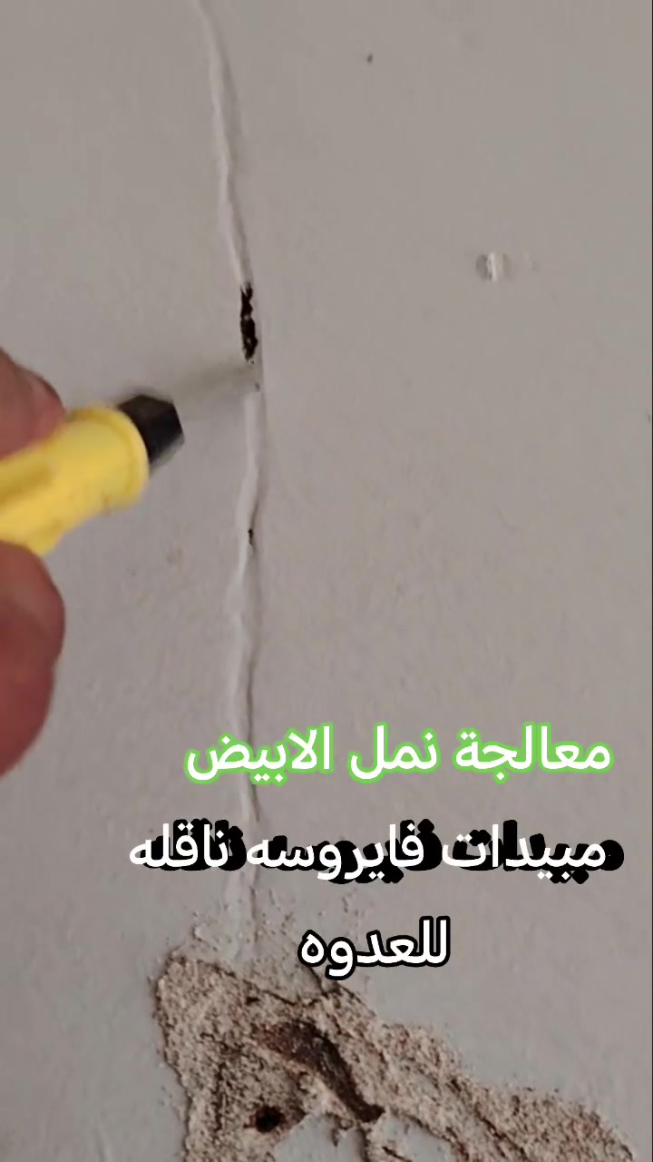 🚫 لا #يكفي قتل النمل الظاهر.. يجب #القضاء على "#الملكة"! 👑
​هل تعلم أن ملكة الأرضة تنتج آلاف البيض يومياً؟ الرش السطحي لا يحل #المشكلة. في  نحن متخصصون في استهداف "قلب المستعمرة".
​🔬 لماذا تختارنا؟
​القضاء التام على الملكة والمستعمرة.
​مواد آمنة وفعالة بضمان حقيقي.
​فريق فني #متخصص وخبرة طويلة.
​🏠 احمِ استثمارك وحافظ على هيكل منزلك. *********** الاتصال بنا
