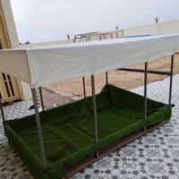 محجر ستوتة • ٥٠×١٠سم • صفح