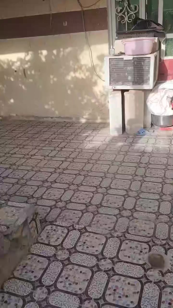 #للبيع
بيت في عفك – زراعي (العيبي) شارع المولده  شارع سبيس والبيت ركن 
المساحة: 310 متر
البيت نظيف ومرتب وجاهز للسكن 👌
🔹 الطابق الأرضي:
غرفتين + استقبال + صالة + صحيات
🔹 الطابق الثاني:
غرفة + صالة
للاستفسار مراسلة الصفحه 📩 @إشارة


**إذا كنت صاحب هذا الإعلان وتريد حذفه لأي سبب، رجاءا أرسل رسالة إلى الدعم الفني**