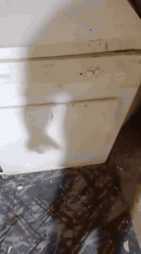 البيع السعر 100 ألف مكان القرنه هور السعد ***********
