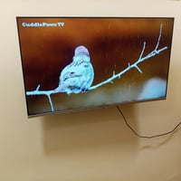 شاشة ٤٣ • فول سمارت • بابل حي الجامعه