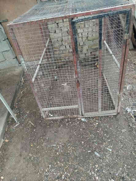 سلام عليكم قفص كبير للبيع العنوان بغداد تقاطع النهروان السعر اتصل الرقم ***********
