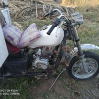 ستوته • موديل 11 • حله كفل