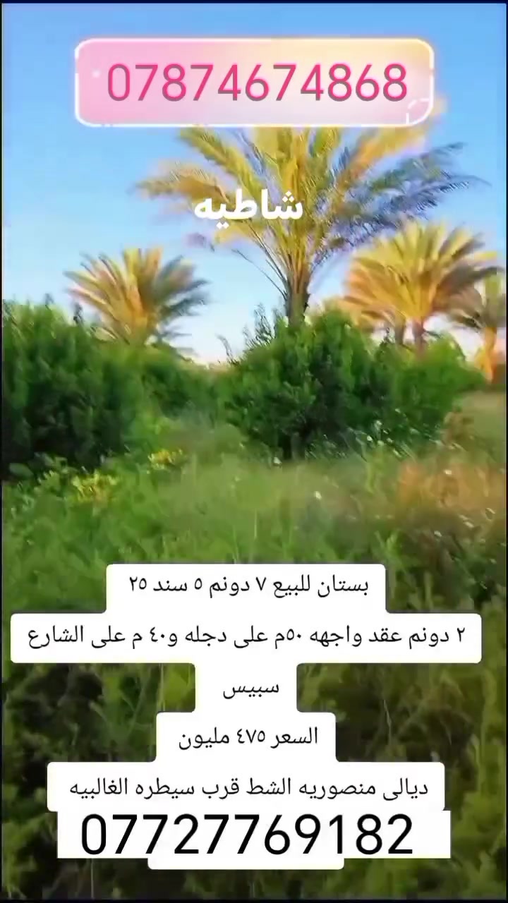 #الاعضميه_شارع_فلسطين_زيونه_شارع_الربيعي_المنصور_الكراده #مزارع_بغداد #الشورجه #العراق🇮🇶 #شارع_فلسطين


**إذا كنت صاحب هذا الإعلان وتريد حذفه لأي سبب، رجاءا أرسل رسالة إلى الدعم الفني**