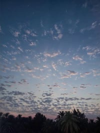 اعلأن للبيع  البيع حسب الطلب دونم فما فوق 3 دوانم طابو زراعي سند 25 تح...