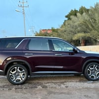 باليسايد • ٢٠٢٤ • حادث خفيف