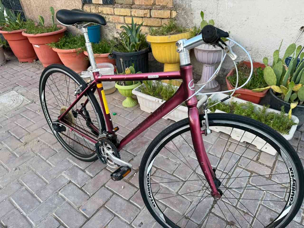 السلام عليكم
دراجة هوائية ماركة جاينت 🚴🚴‍♀️

بالة حاوية غير مستعمل بلعراق
حجم 28 -c700
المعدن المنيوم نظافة 95 ‎%‎
المكينة 8/3 بدون اي نقص

السعر 225
عنوان المحل بغداد الحرية الدور

للاستفسار الاتصال ***********
اهلا وسهلا بكم 🌸
