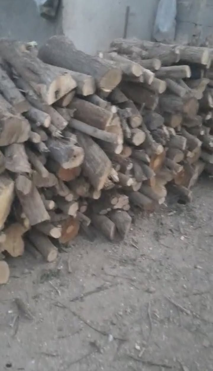 السلام عليكم متاح خشب كاربس وقليل كالبتوز المكان النجف قضاء المشخاب رقم التلفون ***********
