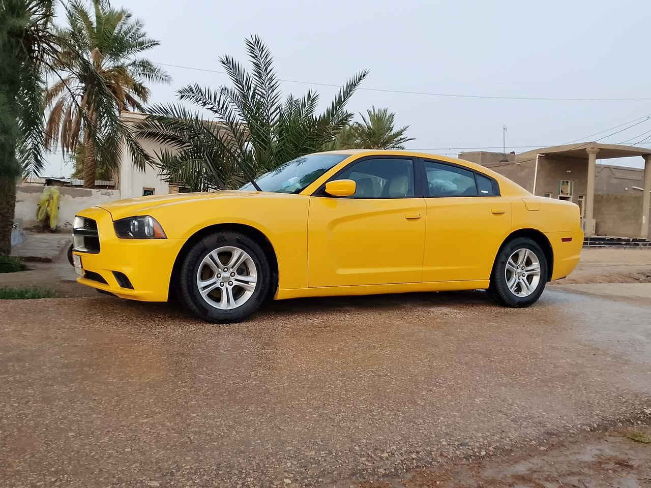 السلام عليكم
للبيع جارجر 2014 رقم بغداد المكان السماوه السعر 170 رقم الهاتف ***********
