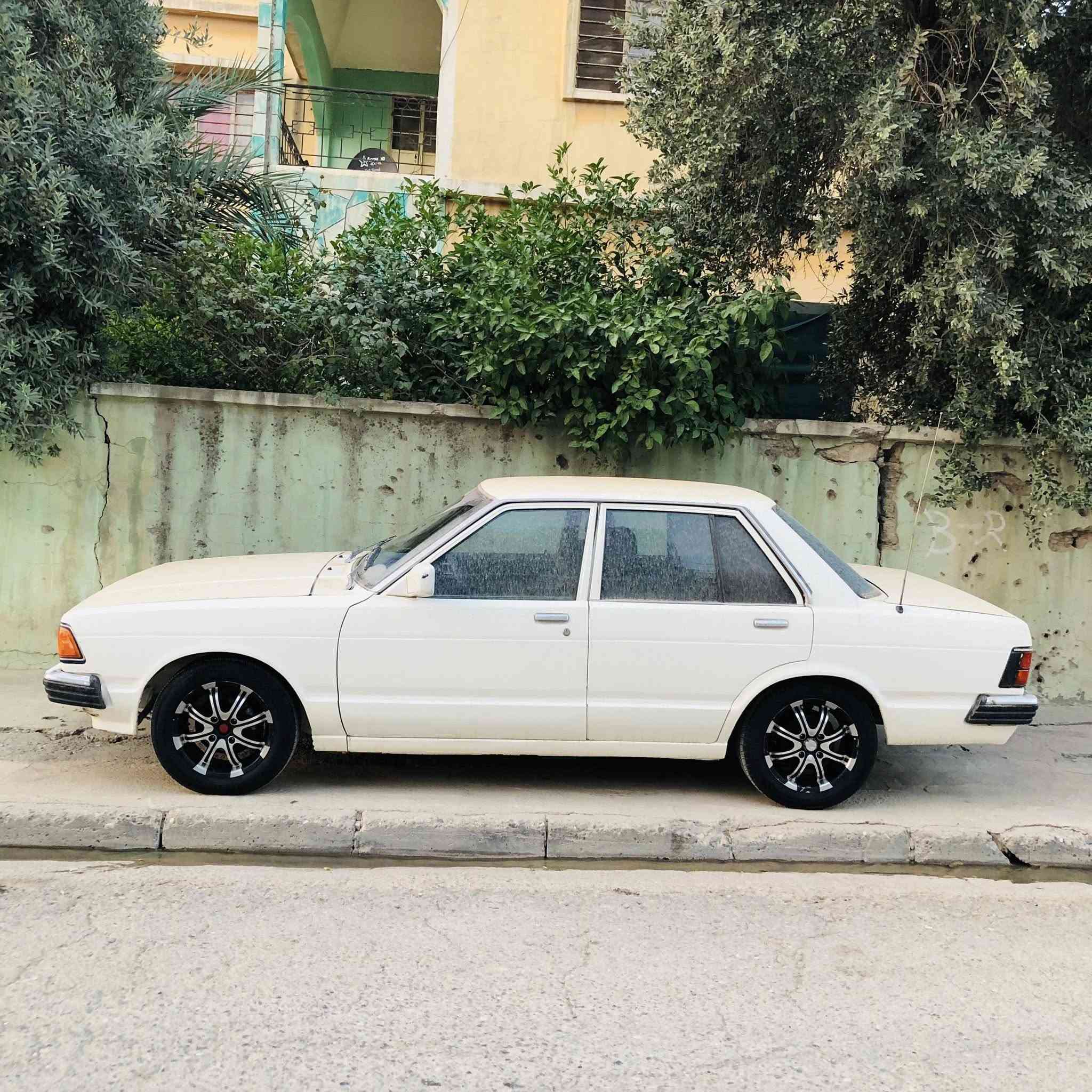 طخم ويل كب ياباني حجم 15 نوع ريسنك للبيع 
واتساب ***********
