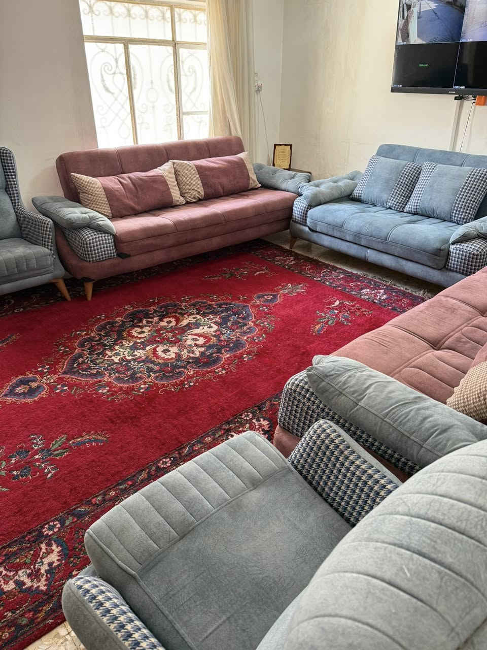 تخم قنفات 10نفرات للبيع نظيف جدا 

للاستفسار واتساب ***********
