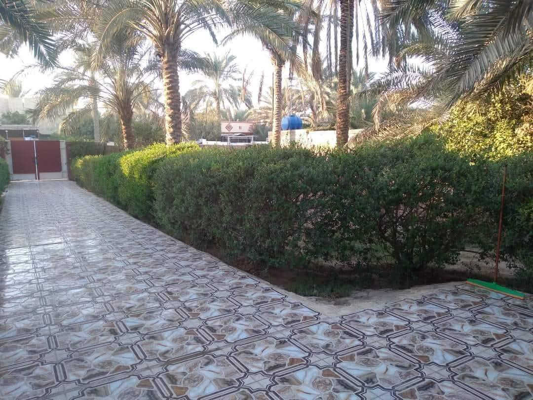 بيت للبيع عقد زراعي 35 مصفره على شارع تبليط رئيسي  مساحة البيت 1000متر  البناء فيه 160 متر مع  حقل 150 متر مع  7 دوانم بستان ملاصق للبيت ويوجد ماء فياض في البستان و  يحتوي على نخل ..برحي ..مكاوي ..خستاوي ..غريبة ..الخ  .كذلك مدارس قريبة وخدمات متوفره فول ..محتويات الببيت 
استقبال ....3 غرف نوم ...حولي ...مطبخ ...حمام وتواليت ...مع ديوان خارجي وتواليت خارجي عدد2 

الموقع ..ديالى ...الخالص ...ابو تمر ..على الشارع الرئيسي تبليط .. 
للاستفسار المراسلة على الخاص الماسنجر او الاتصال على الرقم *********** كذلك فيه واتساب
