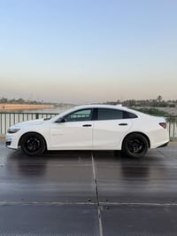 فورد • موستنك • مراوس