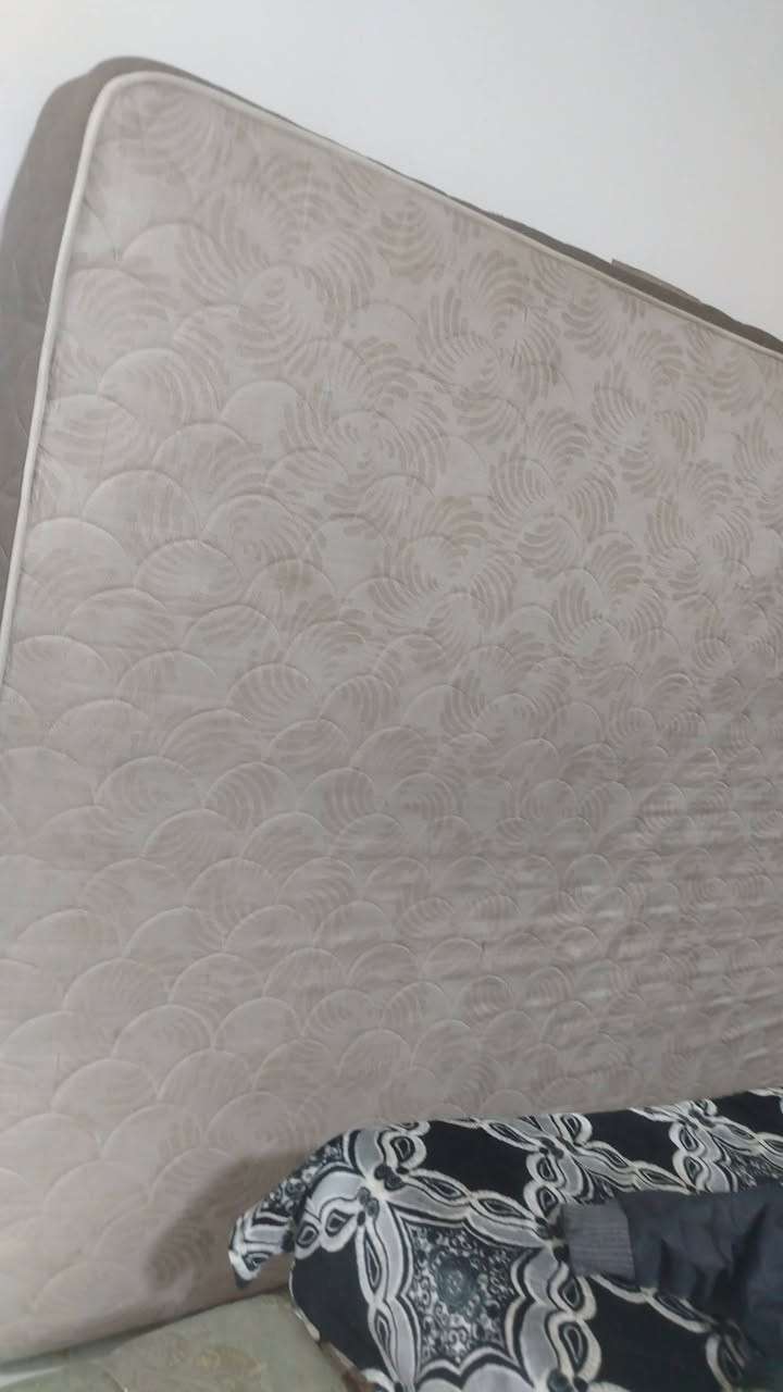 دوشك ابو سبرنك لل بيع سعره ٢٥


**إذا كنت صاحب هذا الإعلان وتريد حذفه لأي سبب، رجاءا أرسل رسالة إلى الدعم الفني**