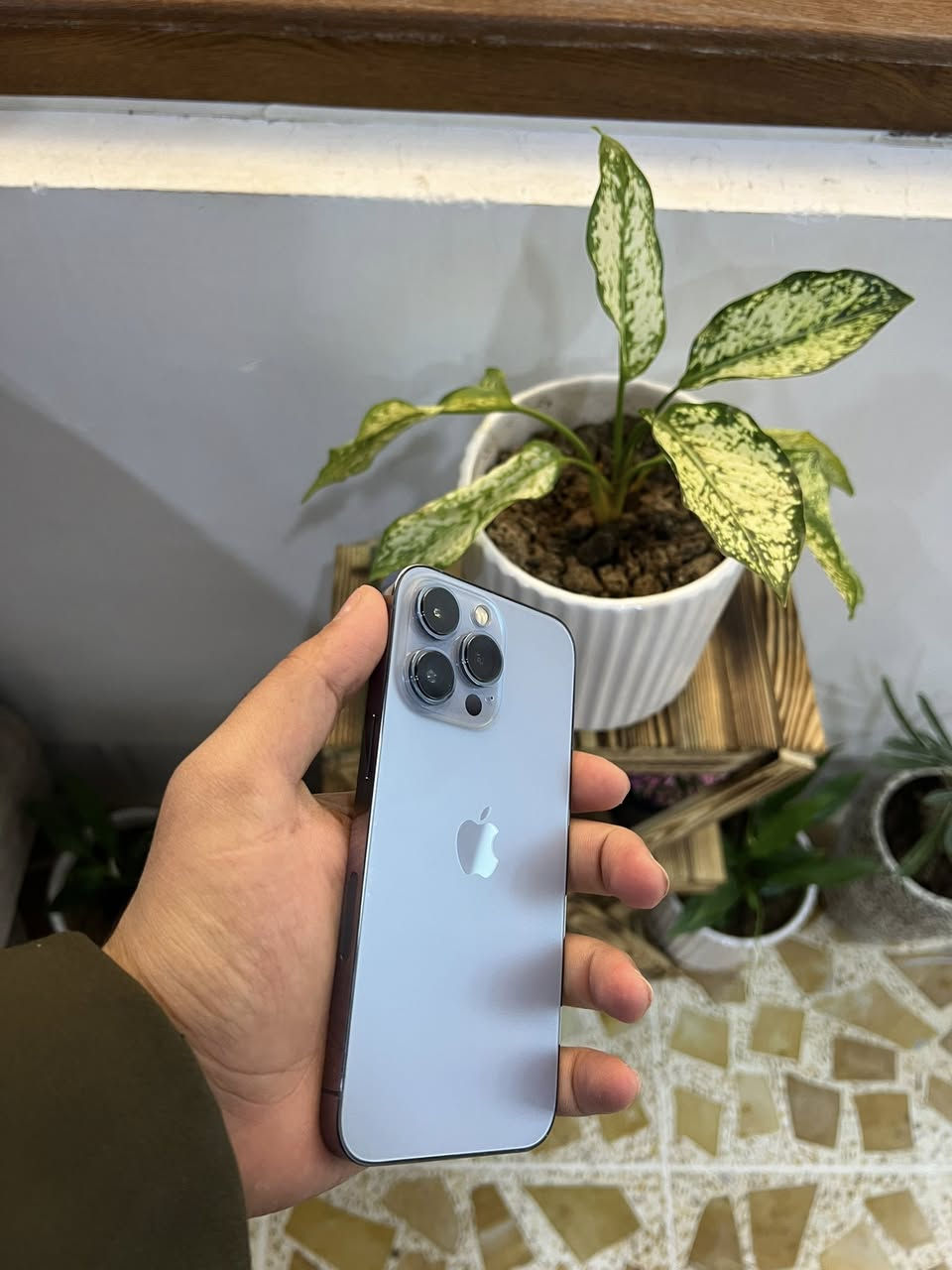 ايفون 13 برو
لاذاكرا128
بطاريه 95
نموذج M
تك سيم 
جهاز شرط وضمان تاخذه
السعر 525
‏‪***********
‏‪***********‬‏
بي مجال حك لجيا فقط
