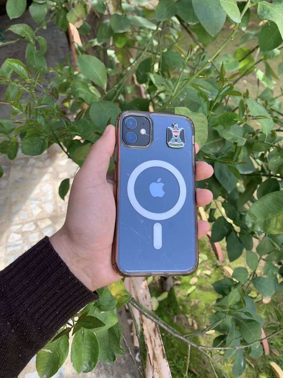 متاح iPhone 11
للبيع فقط
جهاز نظيف كلو شغال شرط 
مبدل بطارية فقط 100
وظهر مكسور 
جهاز مكفول 
ذاكرة 128 
سعر 160 
مكاني حي الوحدة


**إذا كنت صاحب هذا الإعلان وتريد حذفه لأي سبب، رجاءا أرسل رسالة إلى الدعم الفني**