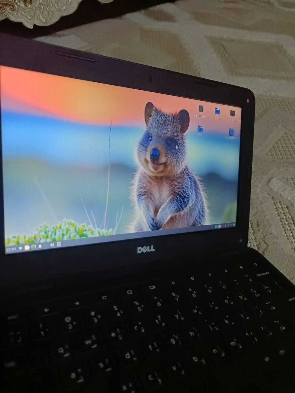 السلام عليكم ورحمة الله وبركاته جهاز كروم من شركة ديل المعروفة جهاز يشغل يوتيوب لجماعة الدراسة على اليوتيوب ذاكرة 14 حجمة اكبر من ايباد 9 ب 3 اصابع من فوك 😂 سعرة وية الشاحنة قفل 25 ملاحضة حرف R بي شوية قوة عند الضغط وتحياتي داخل كركوك فقط 🌹🌹


**إذا كنت صاحب هذا الإعلان وتريد حذفه لأي سبب، رجاءا أرسل رسالة إلى الدعم الفني**