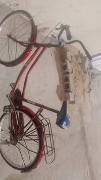 باسكل بناتي • حجم ٢٤ • للبيع