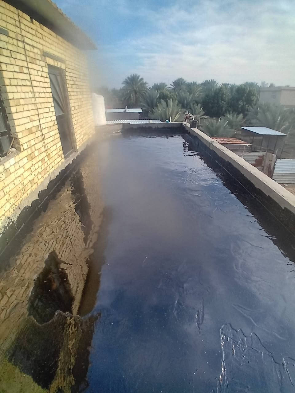 تعلن سكلة  المنكوشي لبيع الجير في كربلاء في اسعار مناسبه الاستفسار الارقام الهاتفيه /***********×××***********
