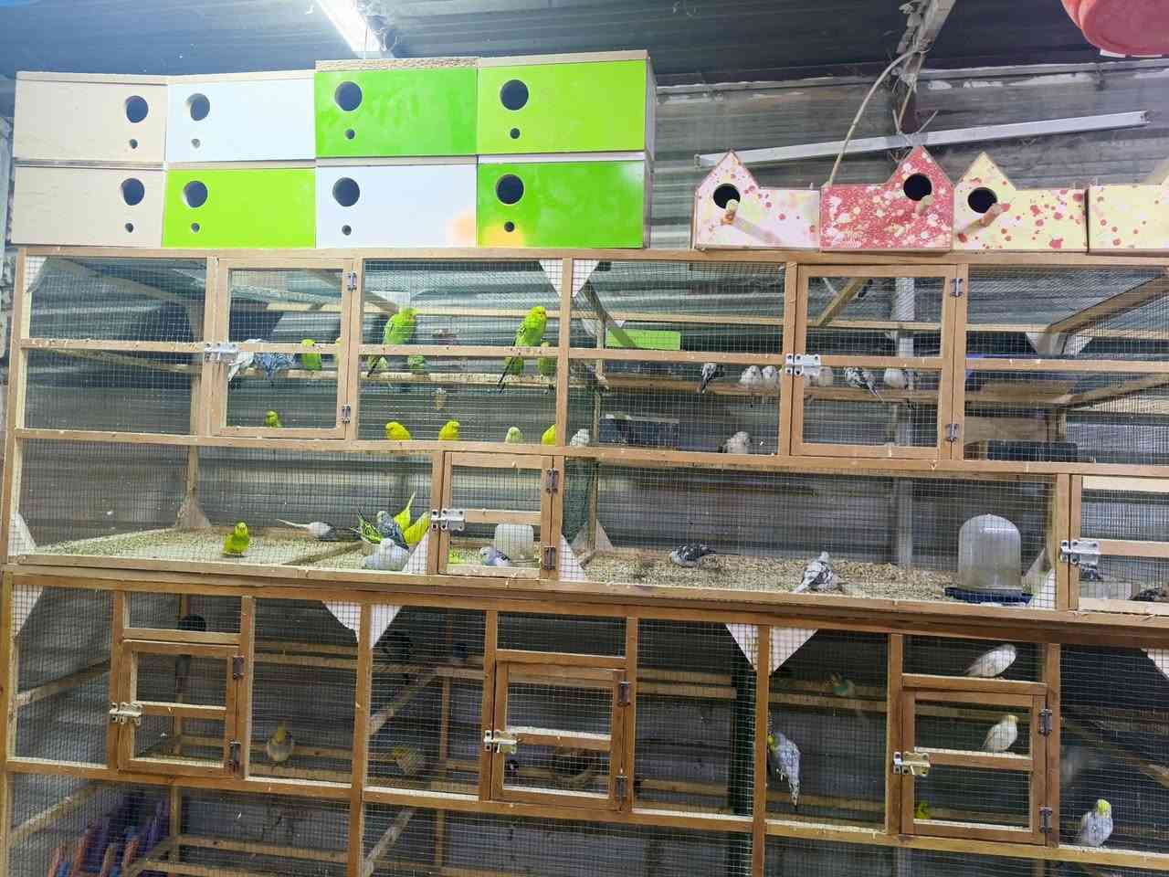 سلام عليكم متاح خانات مقطعه كل 3 وحد والفوك كل 2 وحد للبيع سعر المربع 30 يعني ال 3 ب 90 المكان الطارميه الشارع العام مقابل مجمع حار وبارد تفاصل اكثر خاص


**إذا كنت صاحب هذا الإعلان وتريد حذفه لأي سبب، رجاءا أرسل رسالة إلى الدعم الفني**