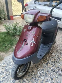 ٦٠ • بطة • بيها مجال