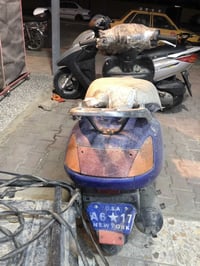 سبيسي ياباني • باتري ناقص • الحسينية الراشدية