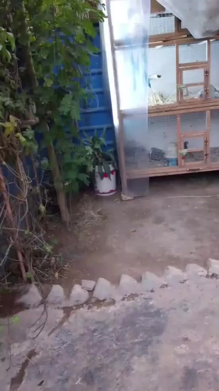 سلام عليكم بيت للبيع
بيت للبيع مع مشتمل فوق نفس الخريطه مساحة 105 متر الخريطه موضحه بلفيديو 
استقبال و مطبخ و غرفه و هول داخلي و ترك وحمامات وكراج خير من الله مكان العبيدي شارع الجامع 
 للاستفسار ***********
