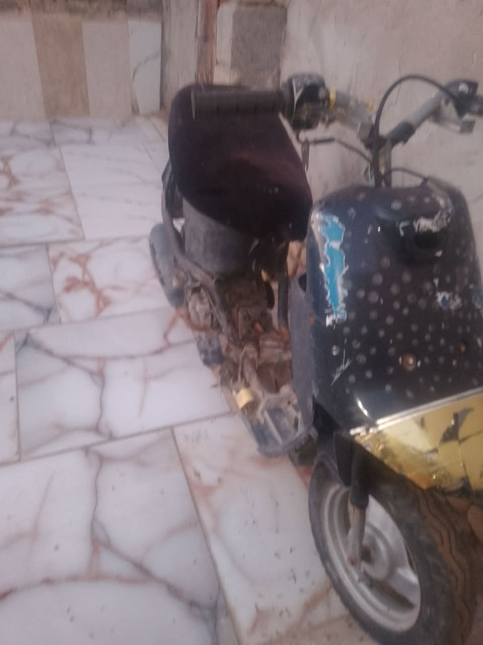 ضبانه للبيع كومه حديد


**إذا كنت صاحب هذا الإعلان وتريد حذفه لأي سبب، رجاءا أرسل رسالة إلى الدعم الفني**