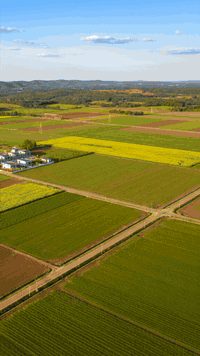 فرصتك لتملك أصل ثابت لا يشيخ! 🪵💰 أرض زراعية بموقع استراتيجي ومواصفات م...