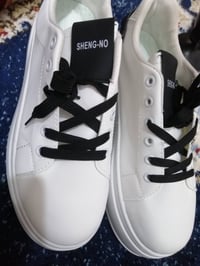 جديد • قياس ٤٣ • ونبي