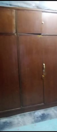 كنتور • ٧٥ • سماوة