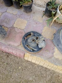 كفرات فراشه فحل كامله سعر 25 كابريتر سعر15 تانكي بانزين 15 سبايدر 5 مك...