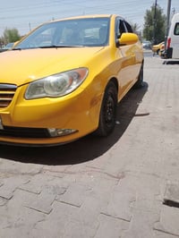 ٢٠١٠ • وارد امريكي • معمرة