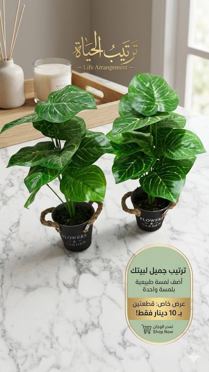 منوع متوفر خدمه توصيل للكوت الفين
علقوا تحت الصوره تعجبكم اذكر السعر @


**إذا كنت صاحب هذا الإعلان وتريد حذفه لأي سبب، رجاءا أرسل رسالة إلى الدعم الفني**