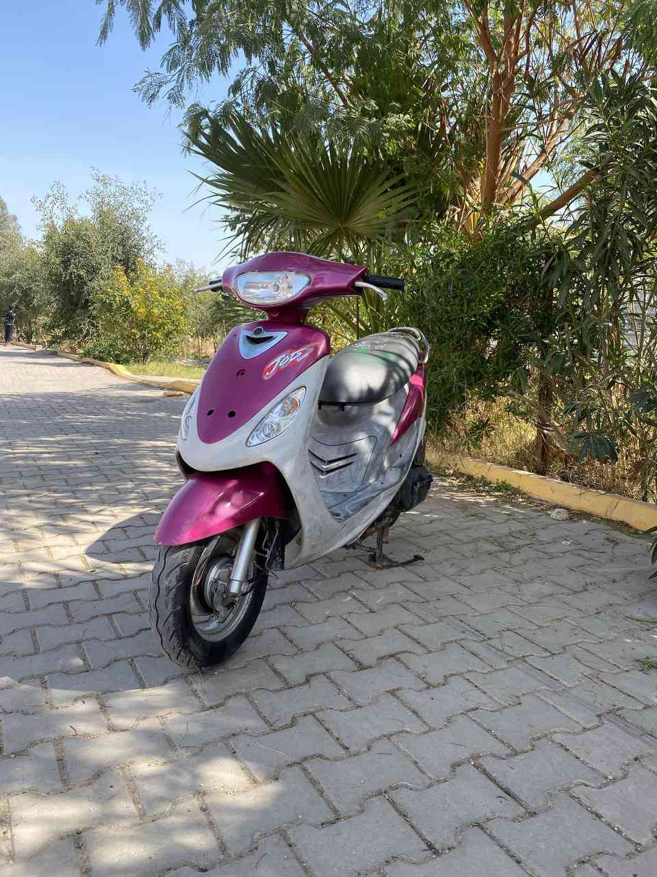 ماكس منغولي  مكفوله كفاله عامه الدراجه جديده صاله شهرين طالعه السعر خاص


**إذا كنت صاحب هذا الإعلان وتريد حذفه لأي سبب، رجاءا أرسل رسالة إلى الدعم الفني**