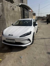 سيل5 • ٢٠٢٥ • كرمة علي