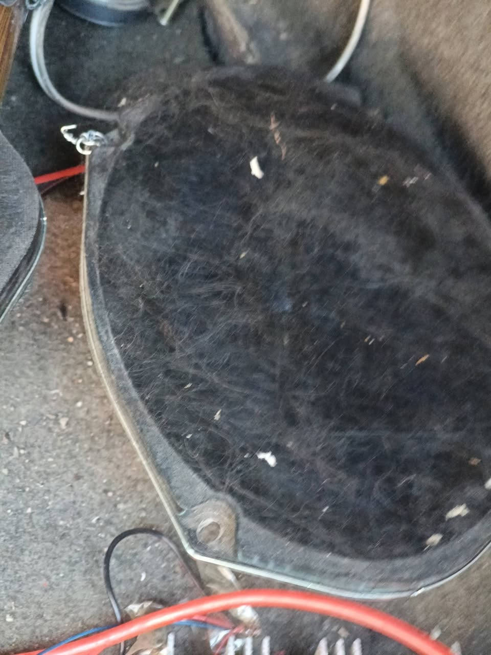 شاشه لمس اصلي جديدة بعدها لمس سريع نضام اندرويد رموت منفذ يوسبي رام فلاش  اوكس شي راقي كلش جوكر تصير مكان المسجل مال السياره لكل السيارات ترهم فدشي يخبل راقي 
سماعات اصليات بيضويات كبار صوت دمام قوي كلش عدد ثنين 2 
ستاند موبايل اصلي ماركه يشحن موبايل وثبت الموبايل وتماتيك وشحن تابسي اصلي 
نفاضه اصليه بيها ضوه ازرق داخلها 
مرايه وبيها شاشه مال كامره خلفيه وكامره خلفيه كامله جيب وشد هيه وفيشها ويارتها كامله 
الغراض شلع كلهن ب 60 الف بلاش بدون وعمله تره السعر بلاش والله بالعافيه على اليخاذهن بس مستعجل مكاني بغداد الحسينيه بالبداية قريب على الشارع الشراي يجي خاص او يتصل هذا رقمي ***********
