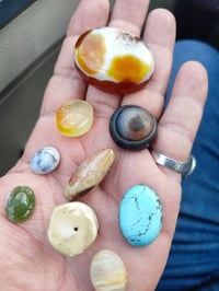 كلمن • أنواع متعددة • سعر حسب النوع