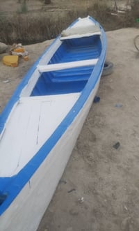 جينكوه فيبر • 14 ذراع • ابو الخصيب