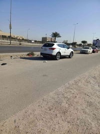 سنتافيا • كويتية • سنوية ٢٠٢٨